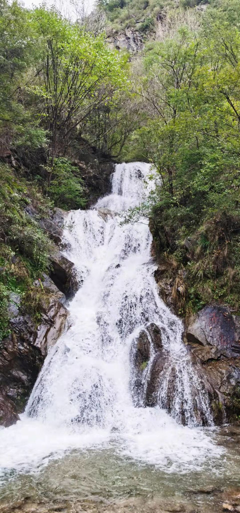 bfGxZS-4ku1mpyaJY3SAkzBeX6k_ihjyQvkoXWtXpe76gBOQ4S8id6ZdDwYm-PsP