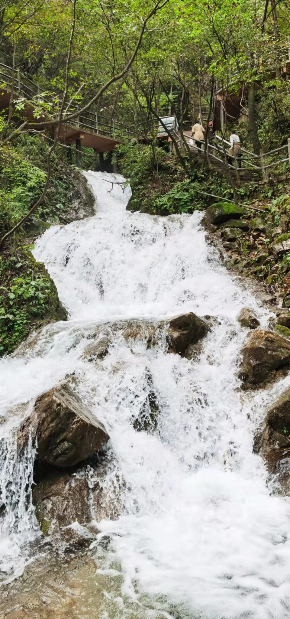 bfGxZS-4ku1mpyaJY3SAk5FgbHw3SvtErV1wVwV1Tj0S_rr34AzKnHdrJO-7CoRC