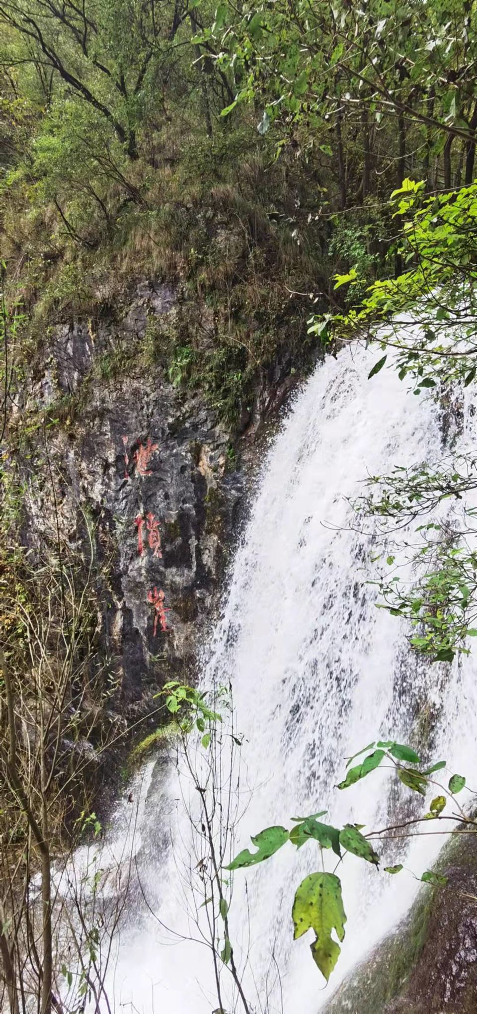 bfGxZS-4ku1mpyaJY3SAkyP6_Fg-MGkNkR4oHsMQKBw5sDXxxTKI9FQgdYM0qVvF