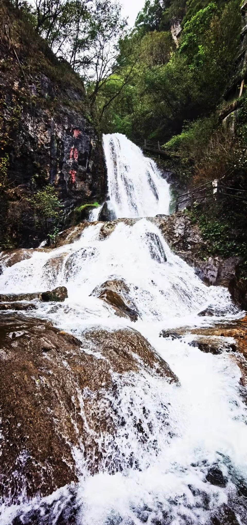 bfGxZS-4ku1mpyaJY3SAkw6KcXYFC-0z0VBDU44GR5KryUtJvOLxrg1Rxgo4Ervb