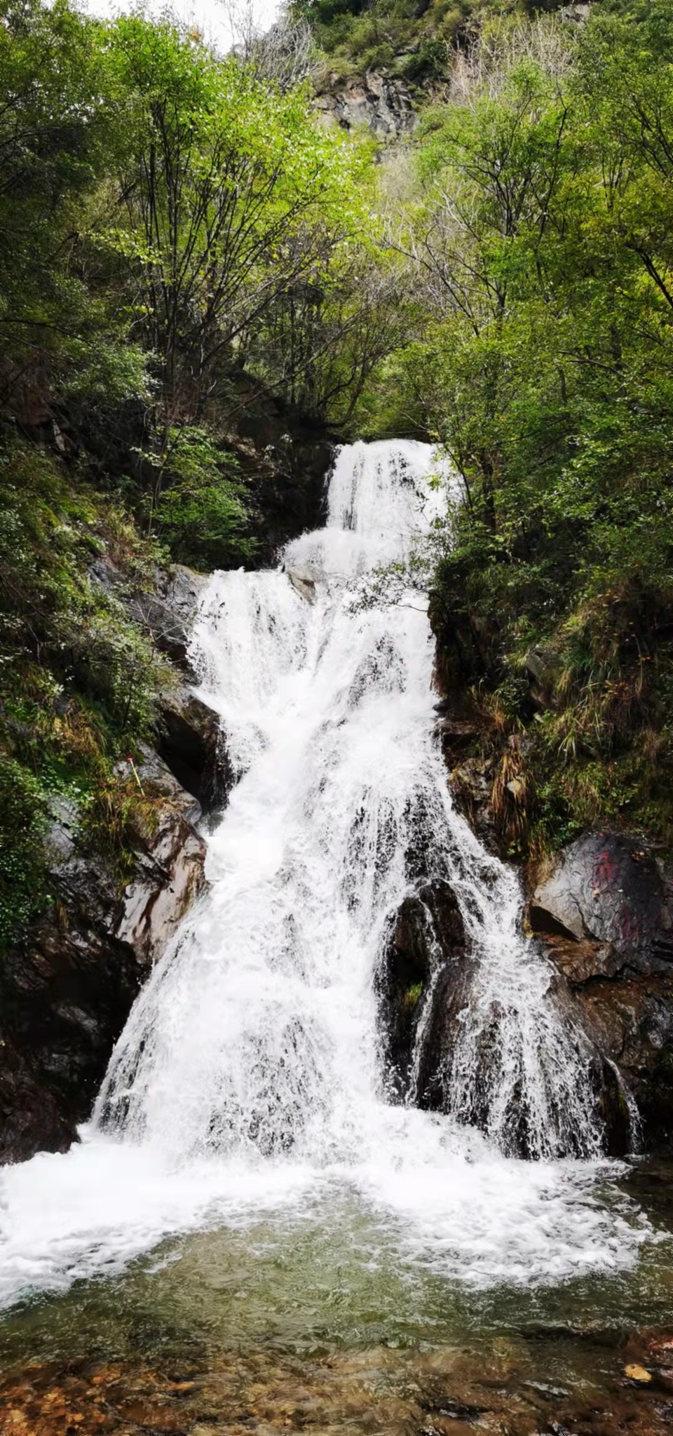 bfGxZS-4ku1mpyaJY3SAkyEyr6YHAcrVC0OeAu5yfIXokArSSjn-GOFJ74xa88CJ