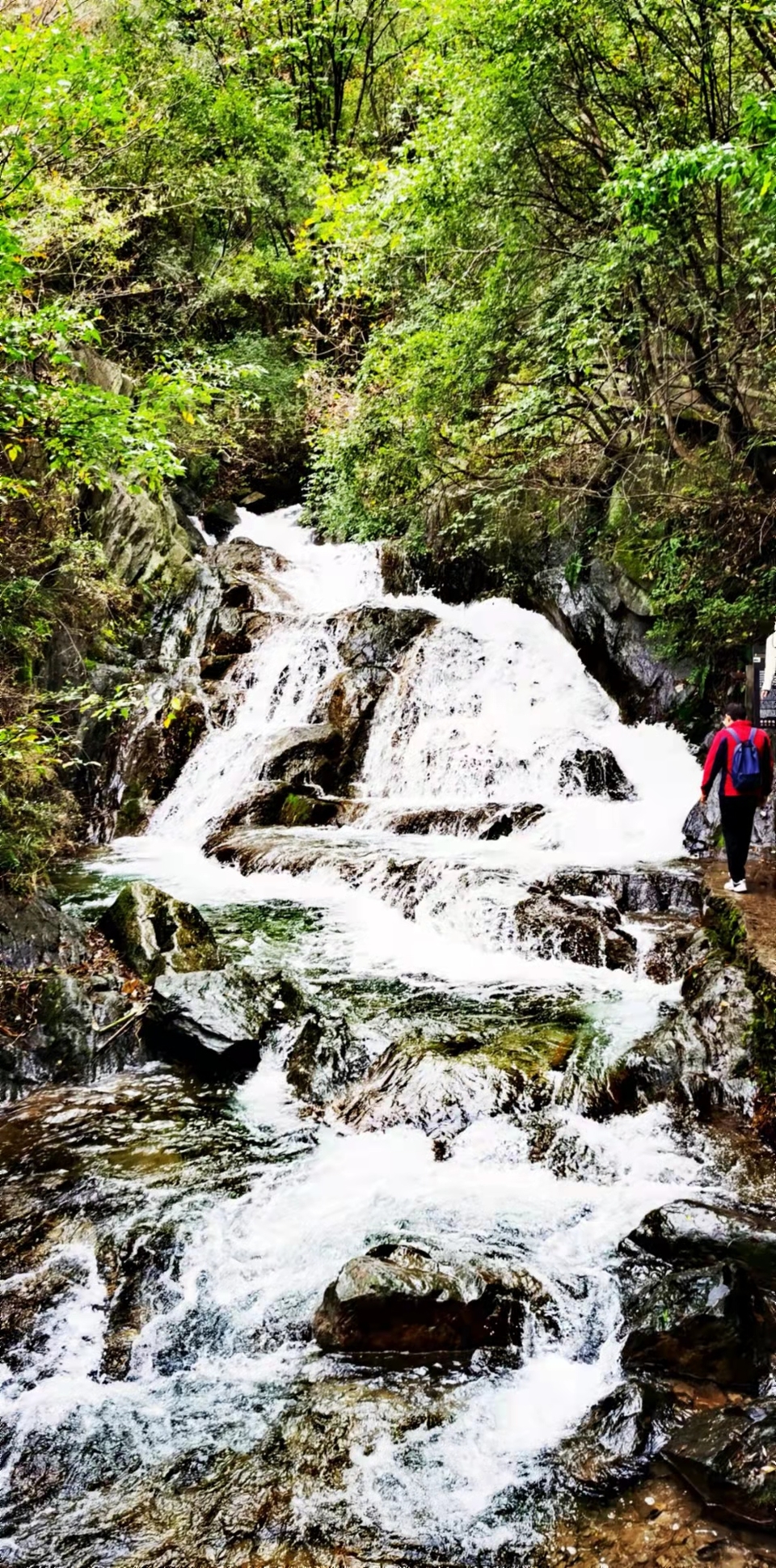 bfGxZS-4ku1mpyaJY3SAky97U_090YE6XnBefmhBnI0lW_nb-ivHw5_fh8Ds1Ku4