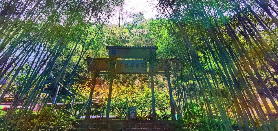 bfGxZS-4ku1mpyaJY3SAk61meGZqEMt1-uR6OLesRa2CoTNhEx7TYNJ0-6oTBk09