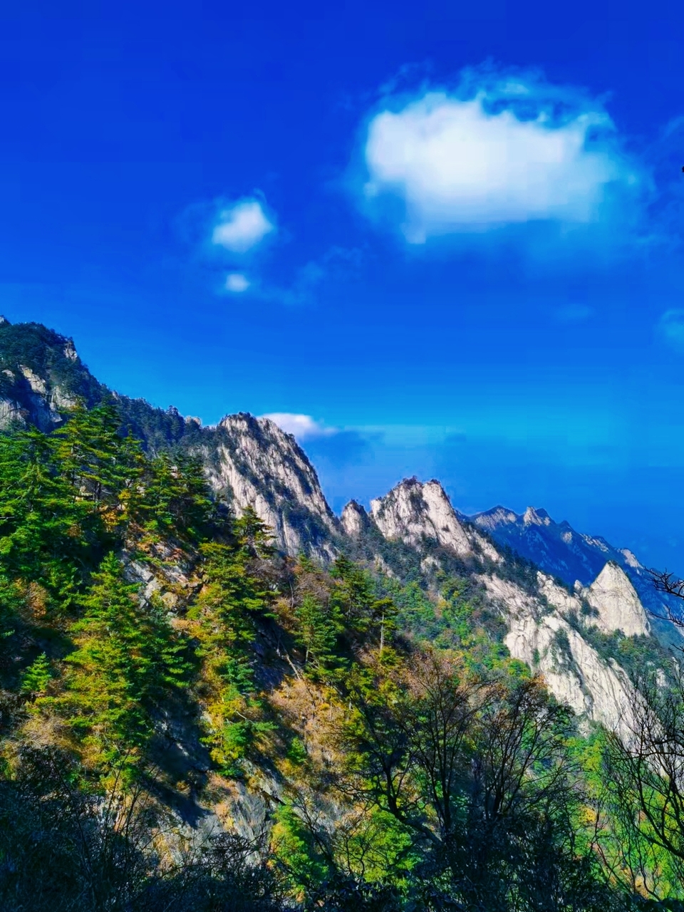 hJVKUaed121D87nOcDiwyPHZGsWDZlH3mjr_9jsAm0E-vRV6SfigM2m5ZxDq3_Ng