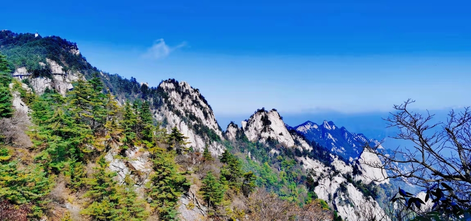 hJVKUaed121D87nOcDiwyFDoXYIvhVBhkTqAyvtrLy4PznE6P7qchdAYLWbUSbPo