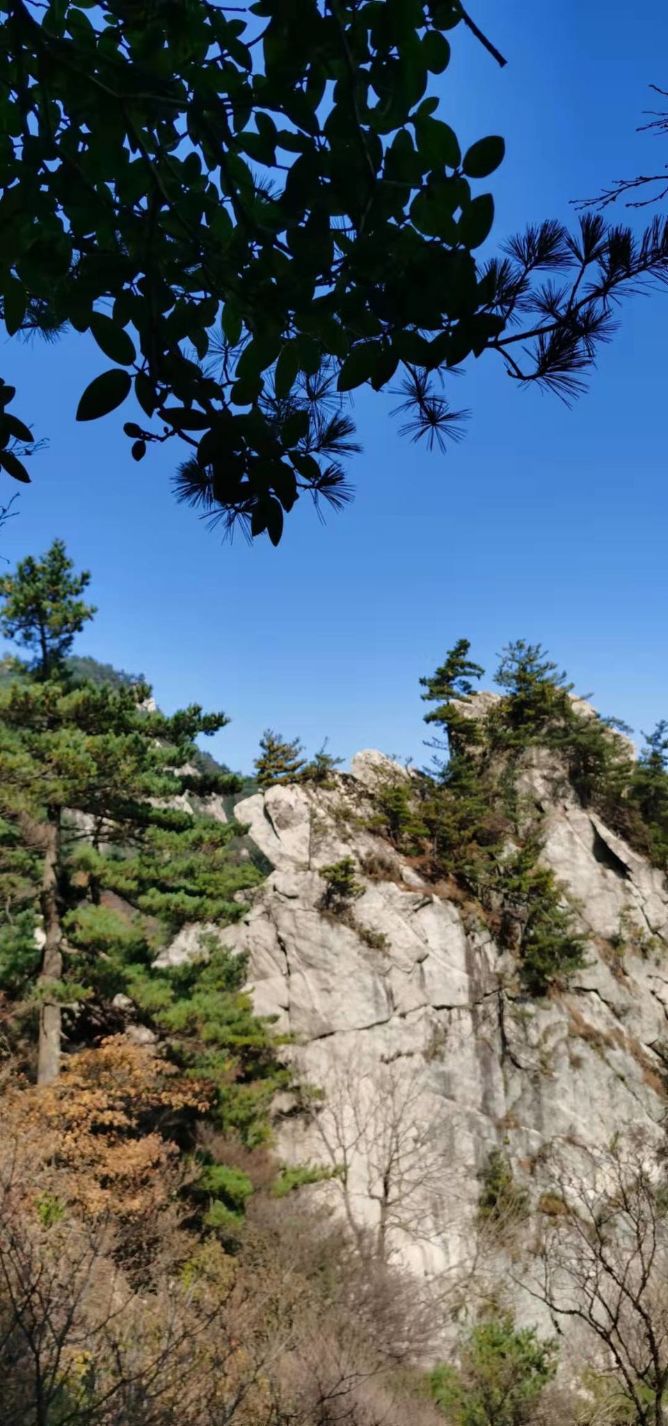 hJVKUaed121D87nOcDiwyPwDIE5pA_BzAdMF4ByP_zUb2gL03PLJlWKCkp3DGo-B