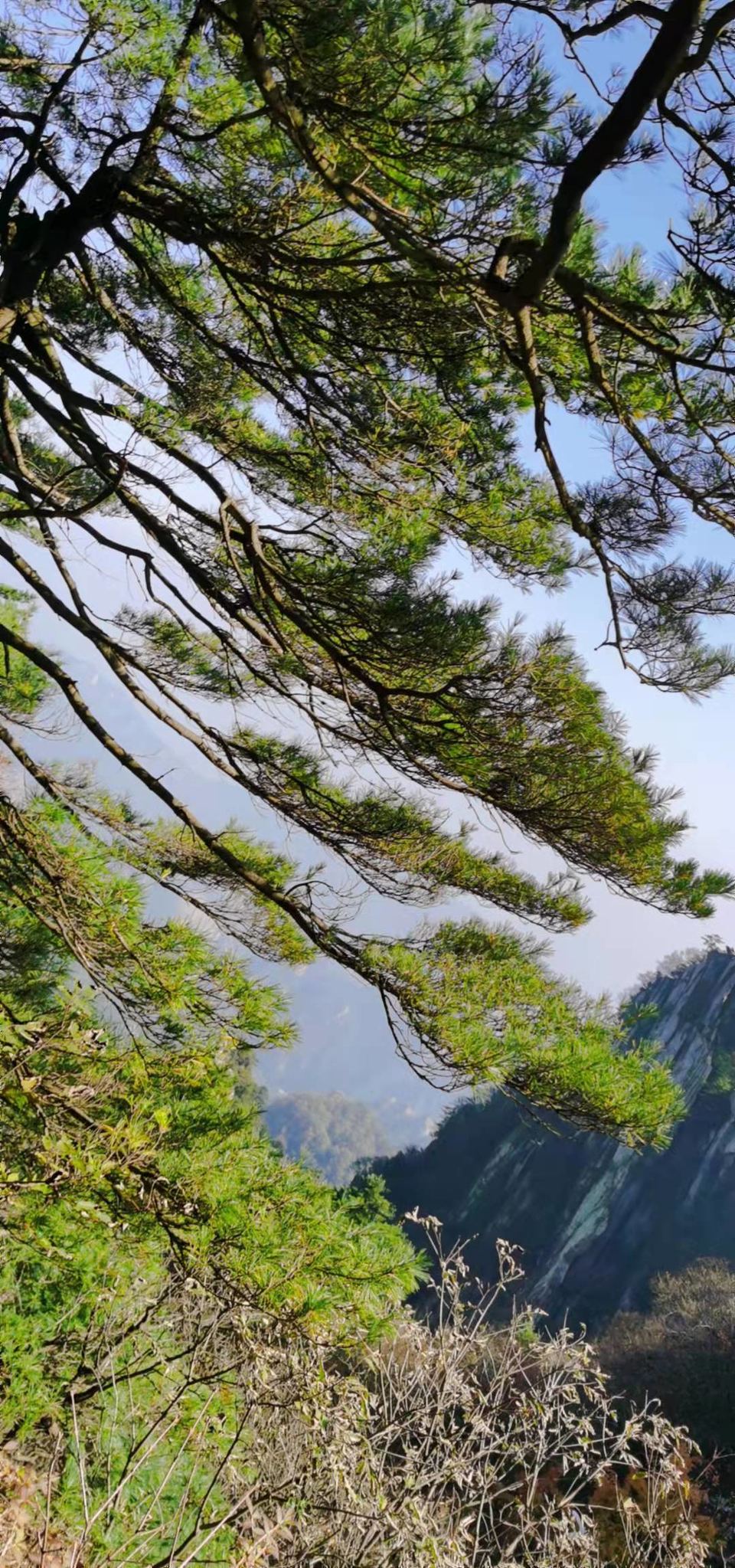 hJVKUaed121D87nOcDiwyDKpDz1F4Moa7s3uaeWImM2DR_StTO2Q_4KInRrWkP2O