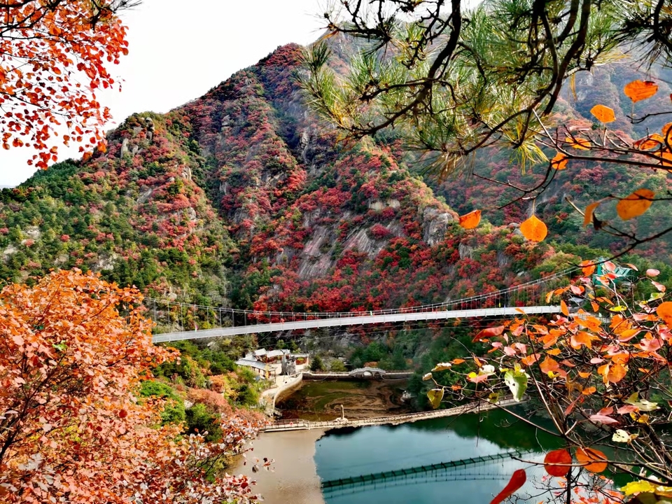 sDO7AkHHWhApUZCUpgunvYRbAgstrJj3WaBrrajxR0VXYIsthgXFHHB9pYh7xCvZ