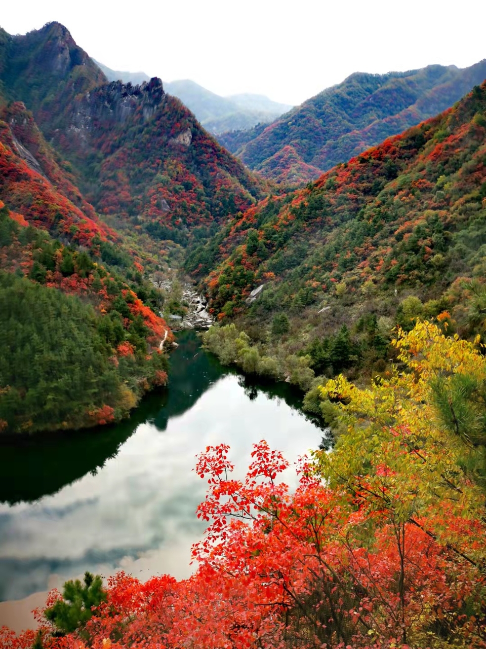 sDO7AkHHWhApUZCUpgunvTvtCmUMyJoXuuatb6KtiOr_WUwJeBsfo1bEbfRTEw2X