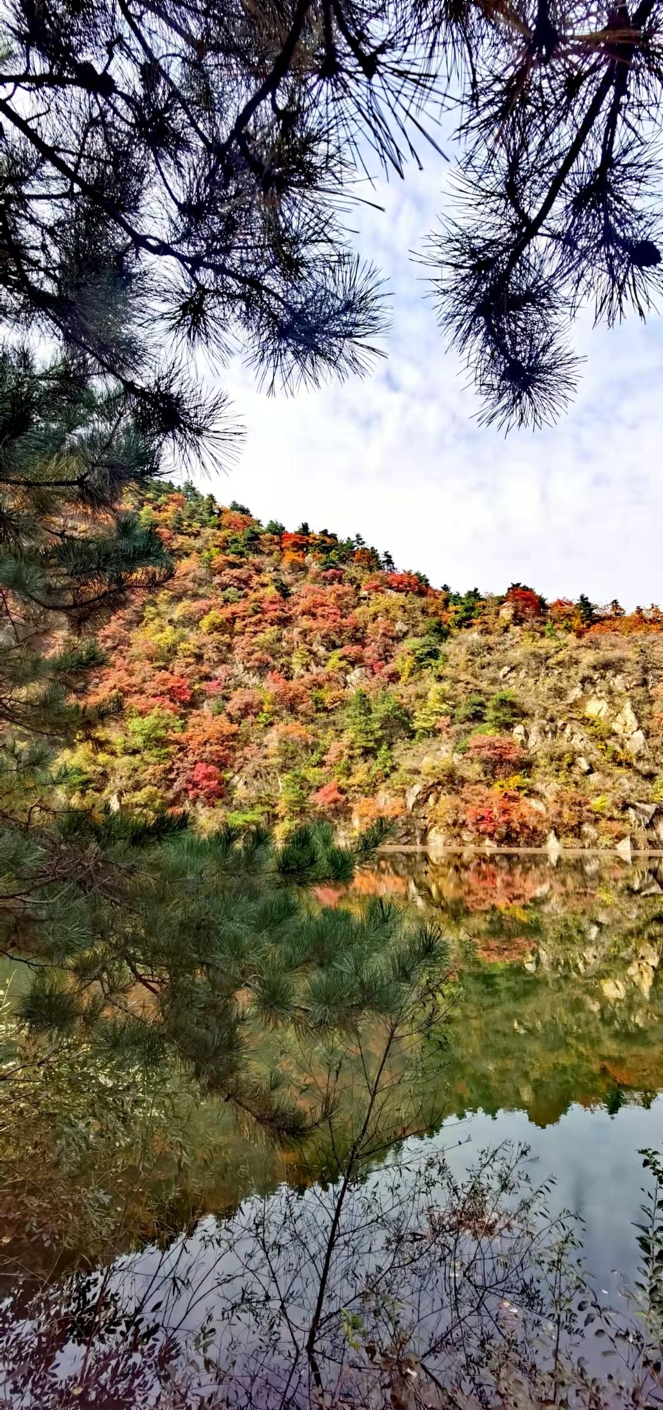 sDO7AkHHWhApUZCUpgunvcAWCJf6iCWvUpwyxwKyX7UeFg5r4TShjwERfJ2orenU