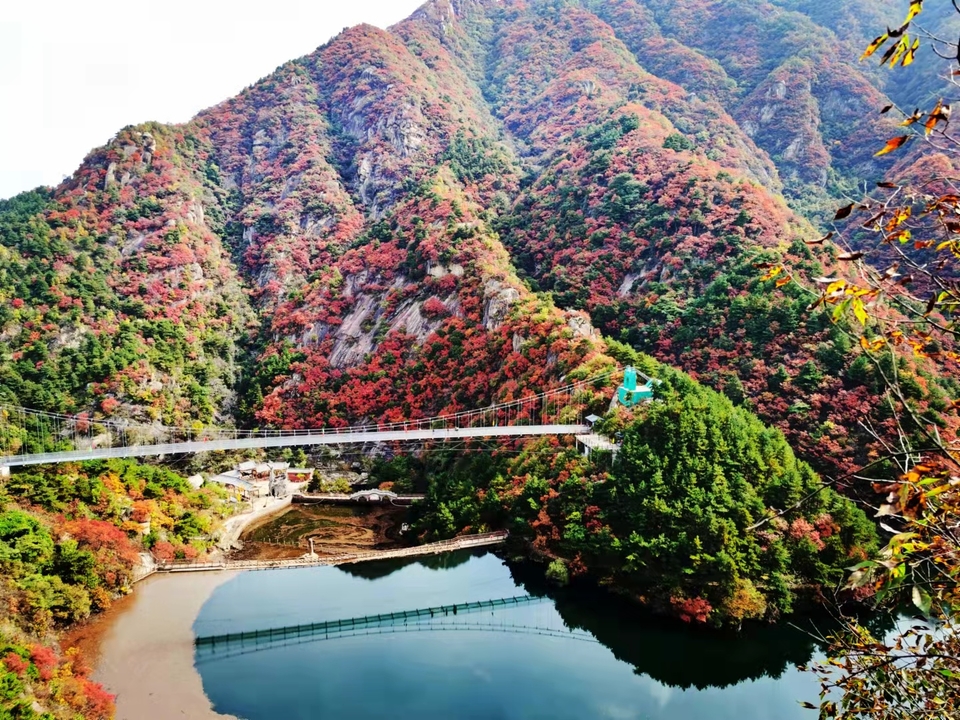 sDO7AkHHWhApUZCUpgunvTHNcvwi8soucp8uXBIsUAd3EM9IGUXY0hrYNW6X65CV