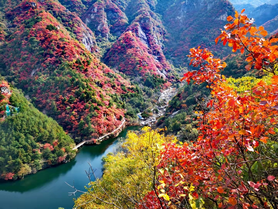 sDO7AkHHWhApUZCUpgunvY-mnN2kfAmD5TTwmggrx157cv_DW-HEVIKLxXHYo7w6