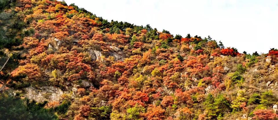 sDO7AkHHWhApUZCUpgunvUZCdDO_8W9Sf4eG0D8i2bDIXCvEMWeYoREte3jNoIMN