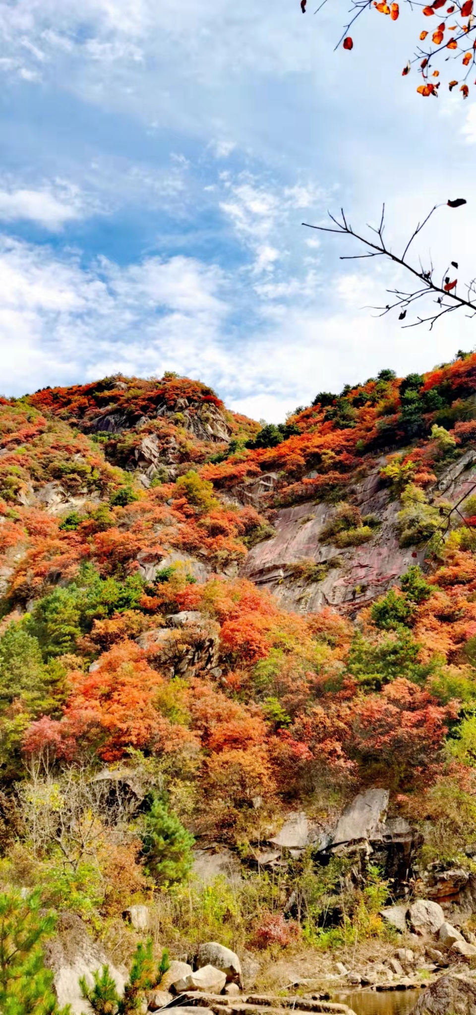 sDO7AkHHWhApUZCUpgunvcs8xn7DV89VC4gPbbFqwbHZKtB434OG8uqZ1cHH9AAu