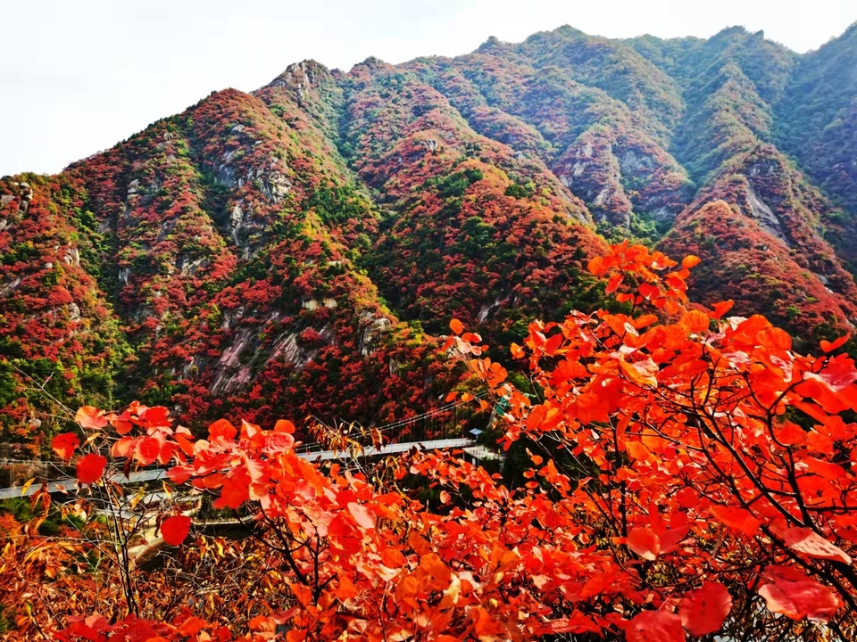 sDO7AkHHWhApUZCUpgunveqFOSjIlo0FapQNk7EYpb8mhfTAl4or1nrWRab-tmnt