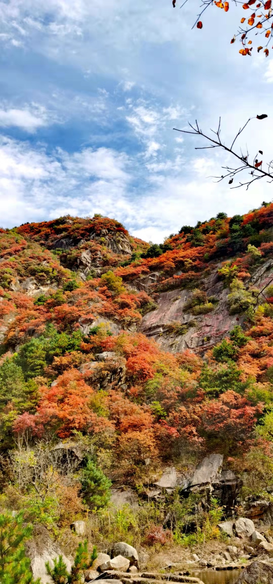 sDO7AkHHWhApUZCUpgunvWZT5nntzUn9Z7HReK_3JIMwnvpbvgt0l1-NiFQxuvky