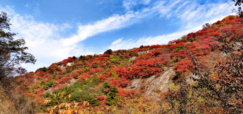 sDO7AkHHWhApUZCUpgunvTbt_C_j7aj1R-LsvC--gtLCj4-Q4mu6niyMjEd3CMmX