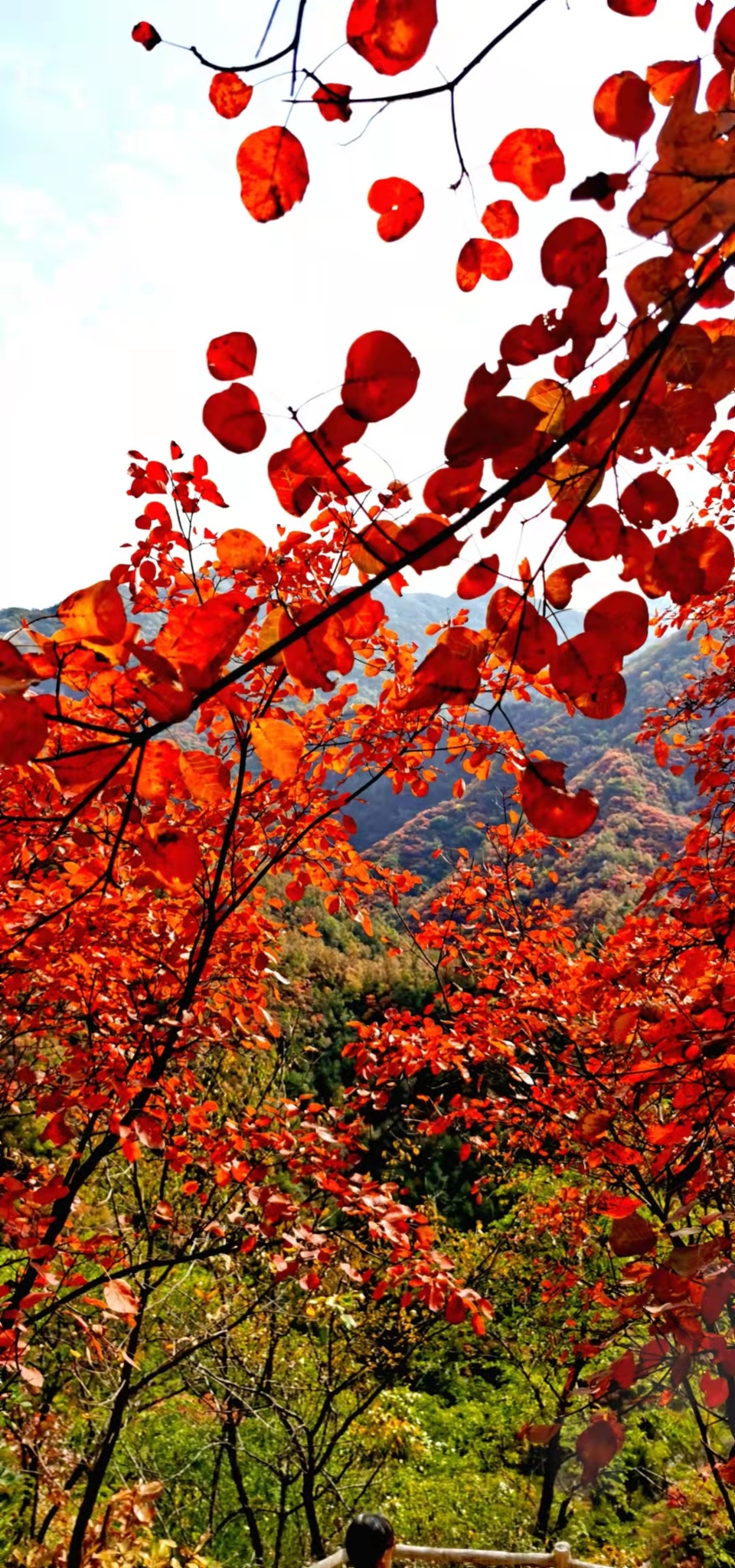 sDO7AkHHWhApUZCUpgunvVyuLTSRhh-DLssVtpkMVNnF-GJ_QeXZVg1q_bKz_Tam