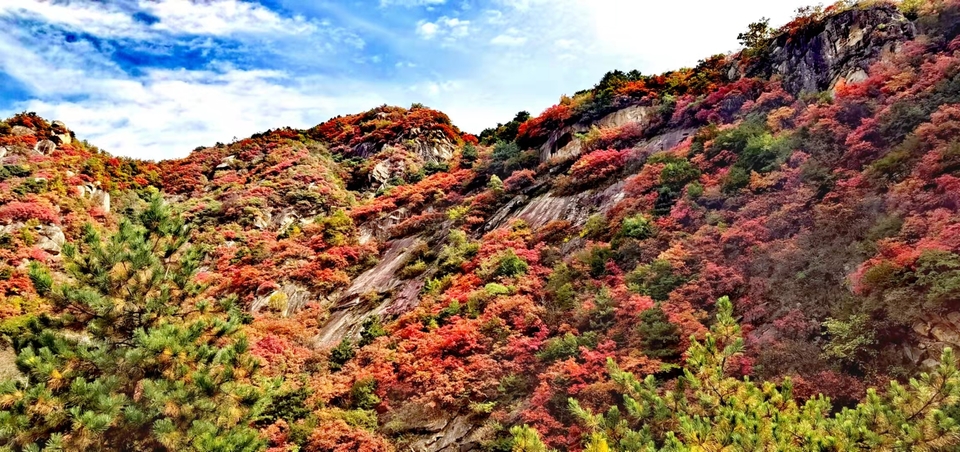 sDO7AkHHWhApUZCUpgunveIR3Bf77KU8P8JGYJ1gMiIamS0HRY3KHn3BK2GgZASF