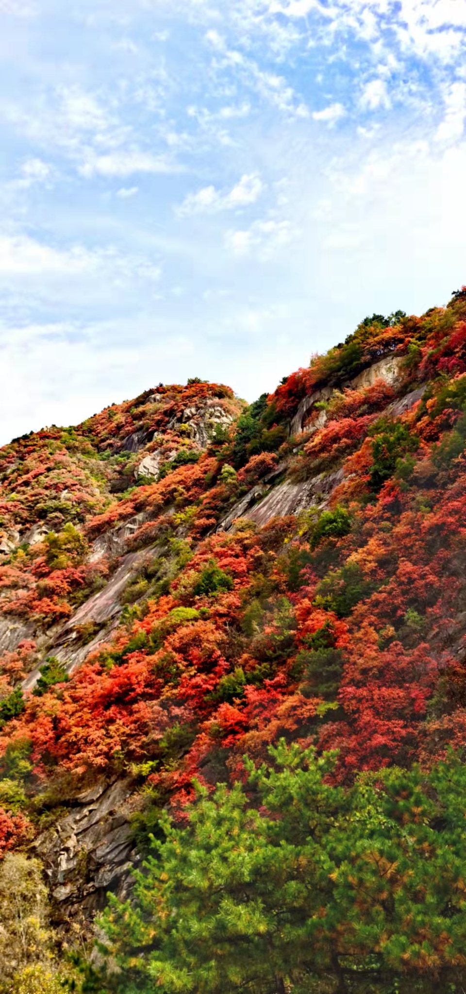 sDO7AkHHWhApUZCUpgunvZoj_XVl6aTwg2-XDlUI-GQ9ulsffN5l-jg9yYDxEn0p