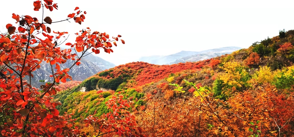 AxVX0TaI33SRyZS4AFueNmVRGY1ZniSzOmjnmSHyW3kXvPvtAomD6T-UsdKpOBFh