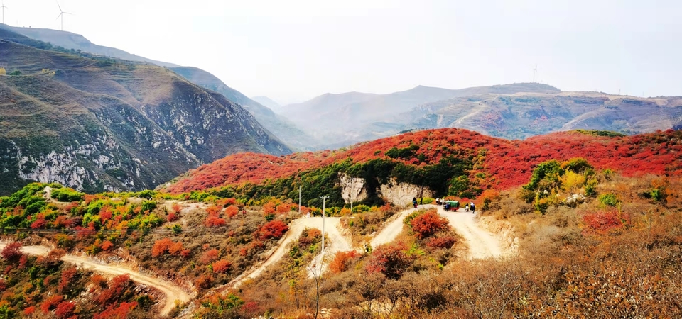 AxVX0TaI33SRyZS4AFueNsOYCYWA8_WOBVSSGcddj_BREmk2fKFe68kGDRgIFjWV