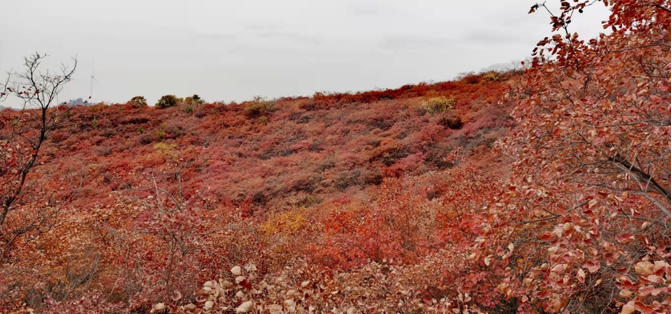 AxVX0TaI33SRyZS4AFueNr7L8aTNpdynUNIYlCUxlmiTU3OR_oJ5it4gJAvCNSxA