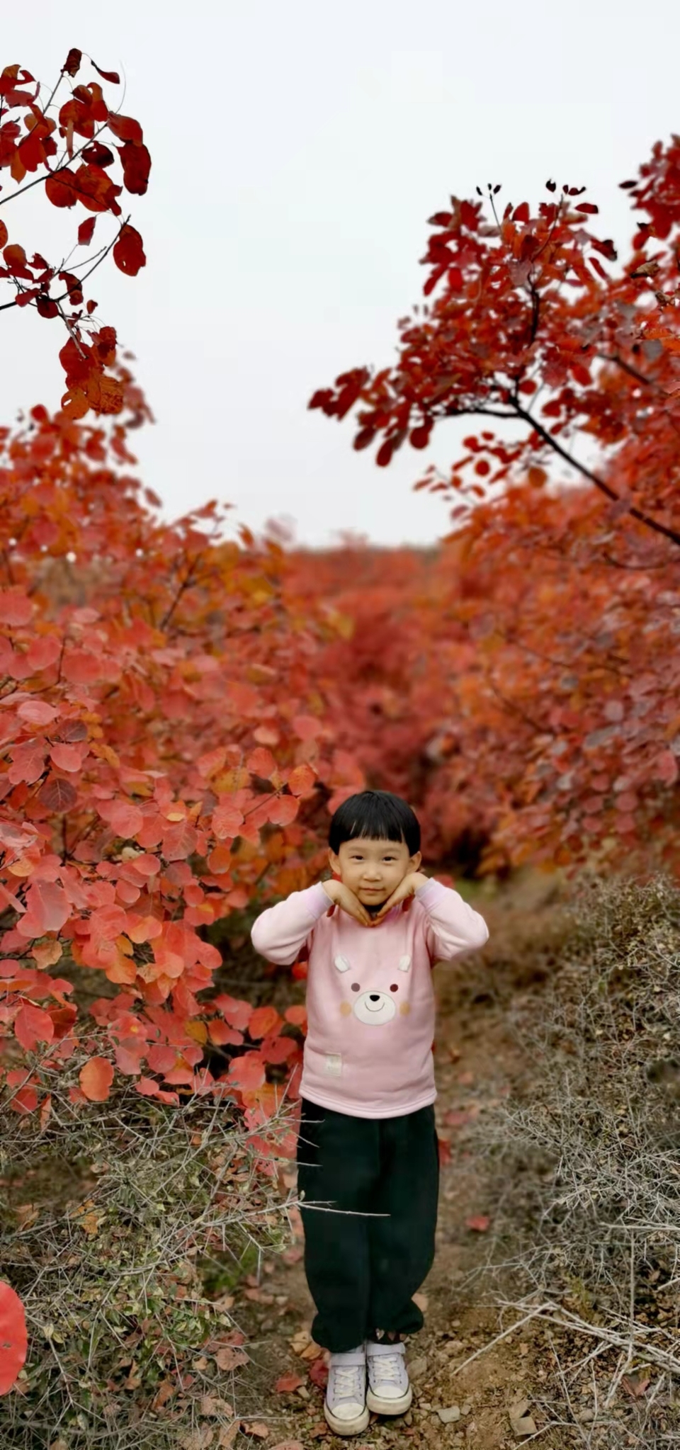 AxVX0TaI33SRyZS4AFueNt_D_NsfRL5dQJJORFxnB2ZFyaBD-yRcDoePQy9nRef4