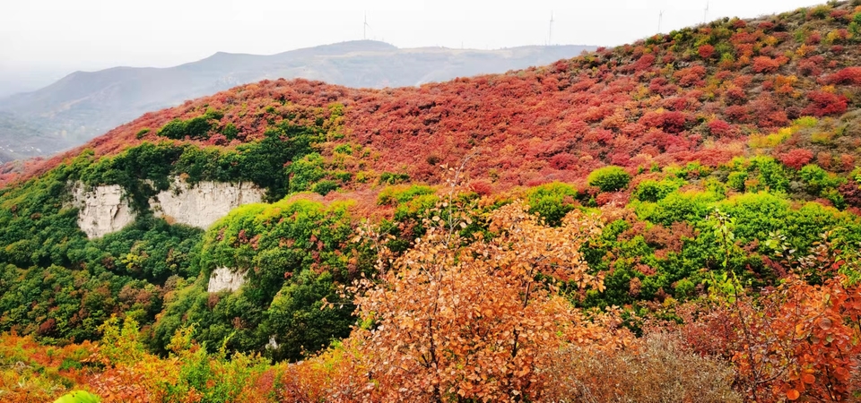 AxVX0TaI33SRyZS4AFueNj2ydoOfTH3FJkYhhsVc9G2ULNeBao43UEJPh5Qrw5Uc