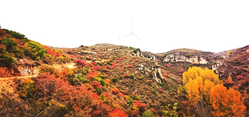 AxVX0TaI33SRyZS4AFueNr9cnwGz1KngX2cvQZcQCYhJtXsEwzFCKdpG9OsNChLI