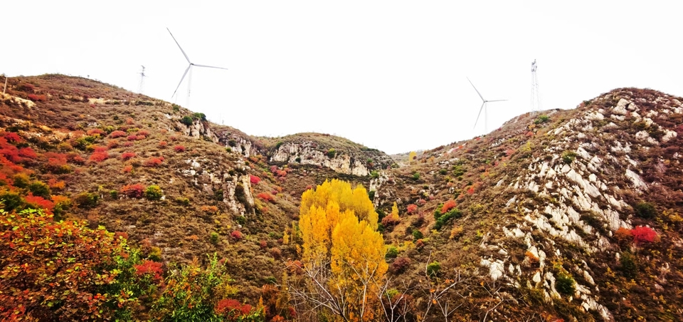 AxVX0TaI33SRyZS4AFueNhD2bLiJ0SwCpgtu3KExrH92PtVBc47wvfv6MlqPlYv3