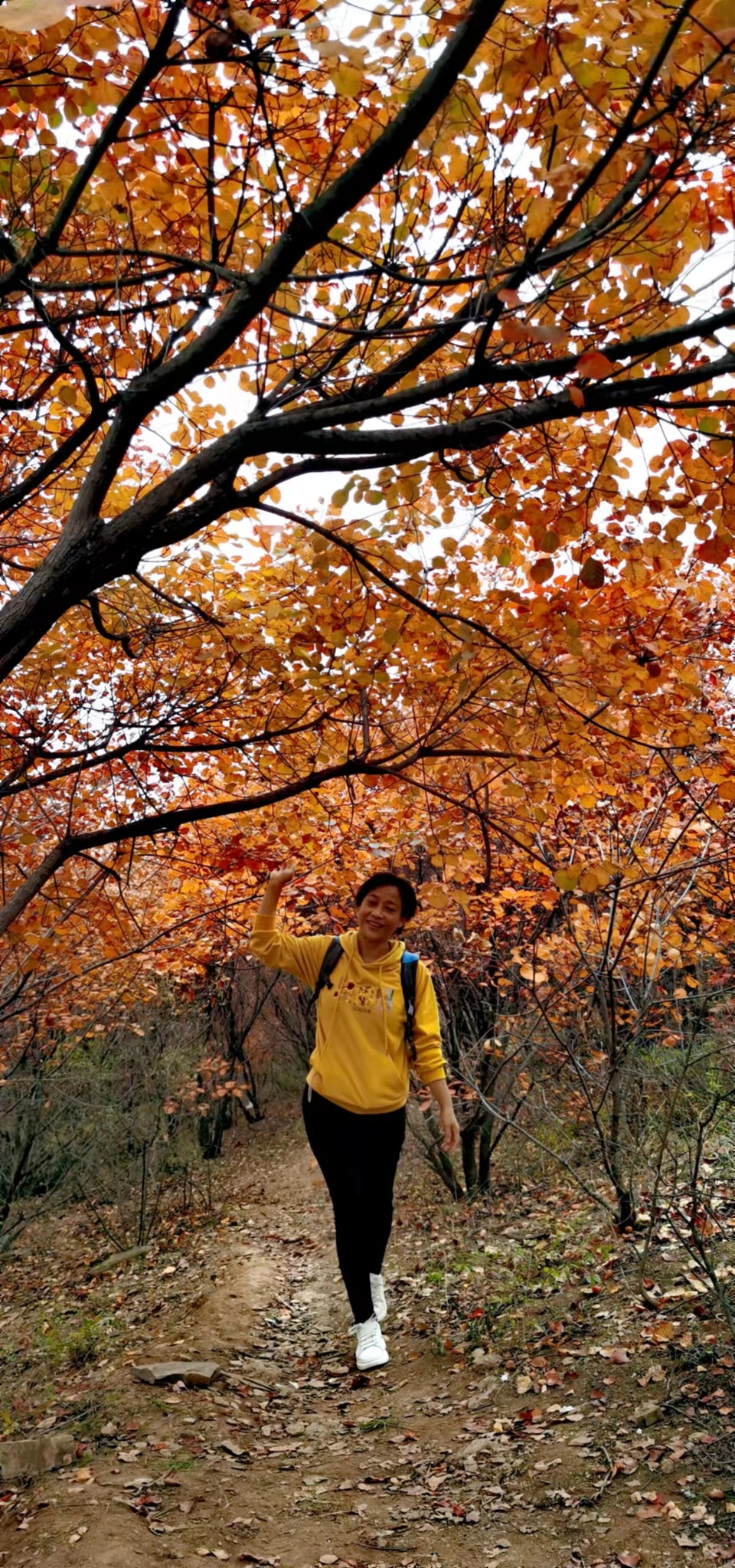 AxVX0TaI33SRyZS4AFueNlK50Uyvk9whRIyGRP8awvAINHwnIpj5VH9lC3QsxNpu