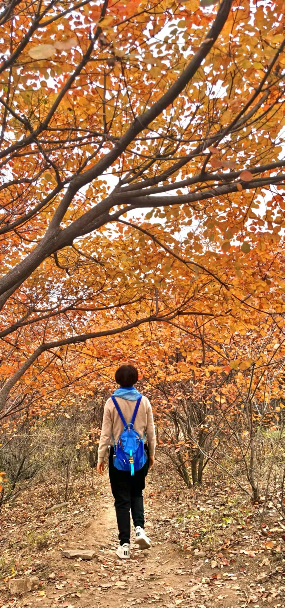 AxVX0TaI33SRyZS4AFueNsOqrm-8U953_6Vj2U8eFVVgCGm9bXsZzVLIu5x0ItAc