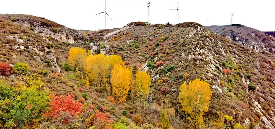 AxVX0TaI33SRyZS4AFueNp_lViVrfjefMSFguUI1MisQUB4s2Hb8meJxskI0tVnl