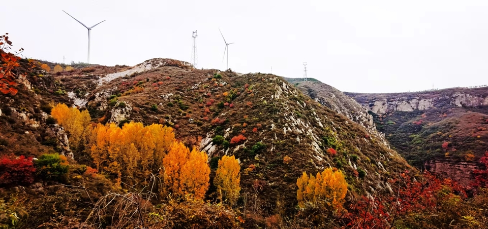 AxVX0TaI33SRyZS4AFueNhNV5eKCuaEi5tEv15E7IhsPY07nTY_jc_svR1nDLtcc