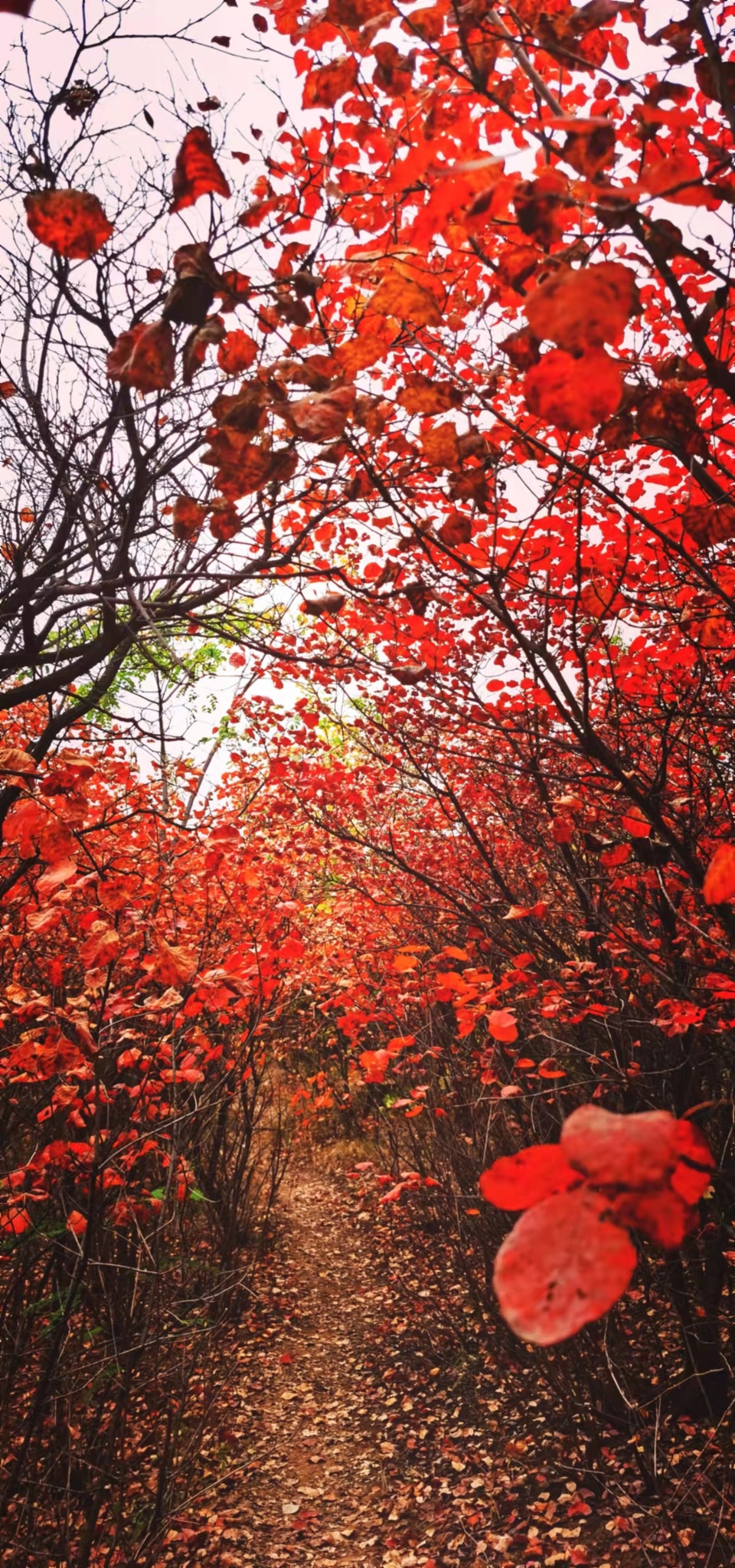 AxVX0TaI33SRyZS4AFueNkzV54iC_z1Z2d_2iw1rflA1-vK6LpNNjxhdVj-kudB6