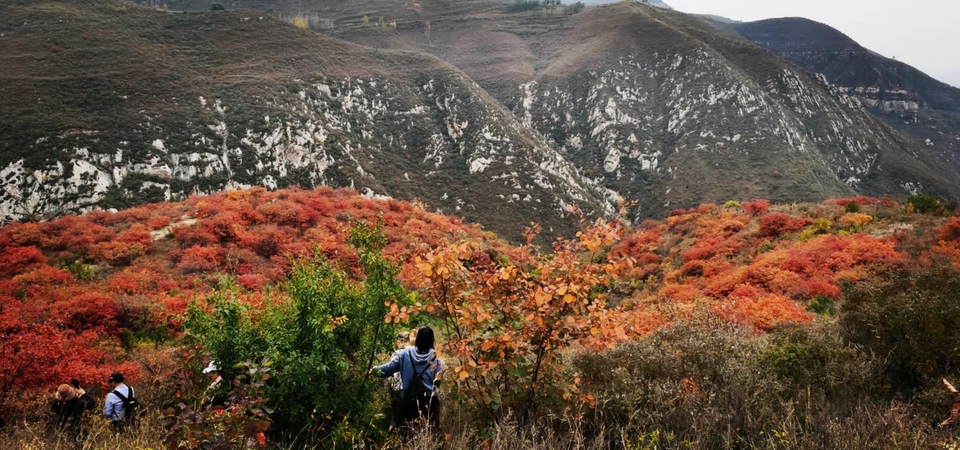 AxVX0TaI33SRyZS4AFueNmpBIDnVZLin5dF-vaxDgXH1nTgBTAxr5gxRv0Rf1Q1Y