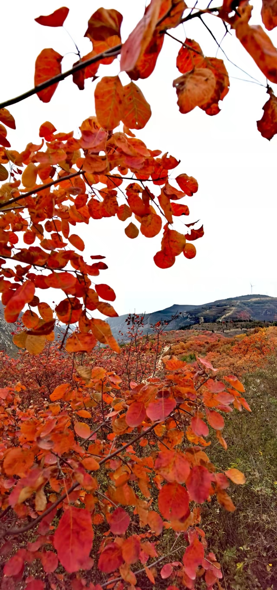 AxVX0TaI33SRyZS4AFueNnlmezCmXY3deUdovPGEjEVrRsePus2Yw_tG02U0zSvf