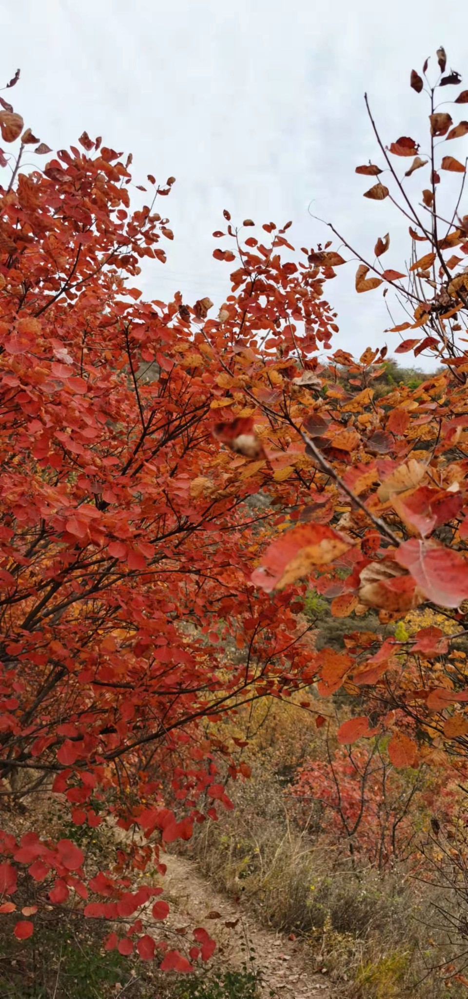 AxVX0TaI33SRyZS4AFueNiZfN4aCtVHuzQ9mgRFydSxT_jxSW45iGkvoqpj_cUWp