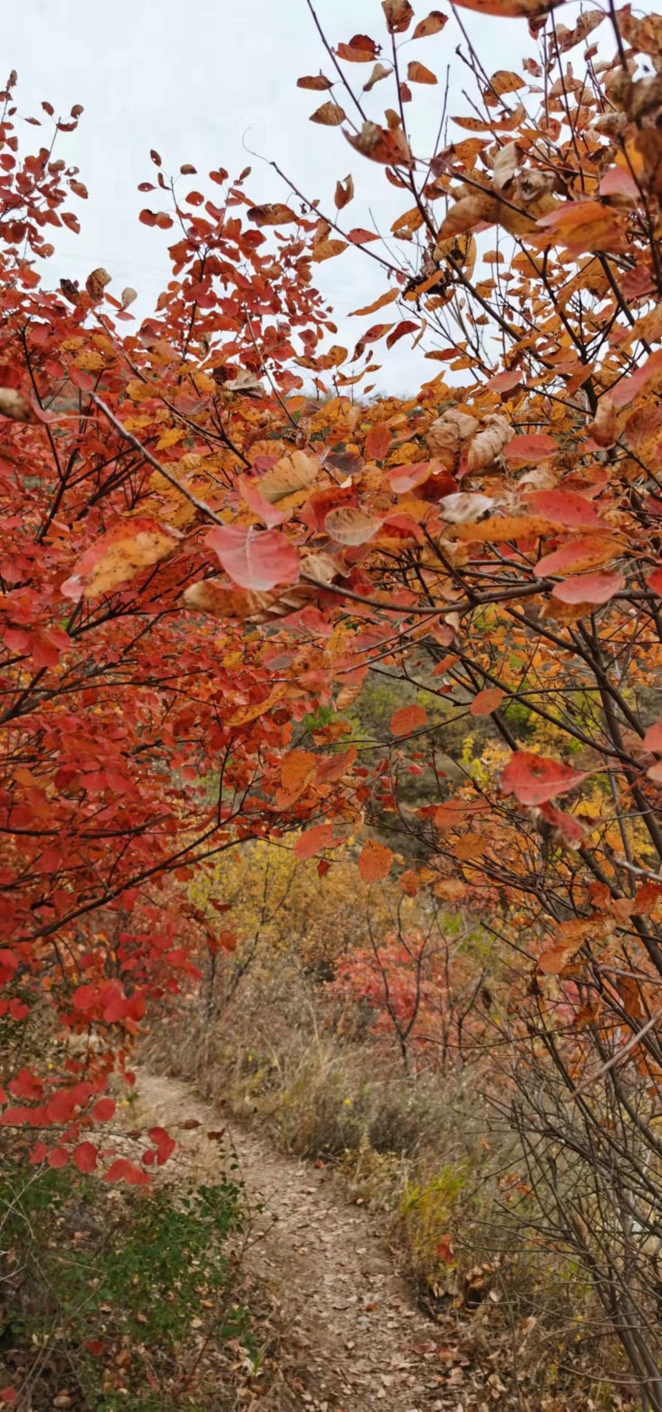 AxVX0TaI33SRyZS4AFueNitd1mRzIXkvEn3zlzrdjlB8bER8DpkBKbv_x0NVnE6Z