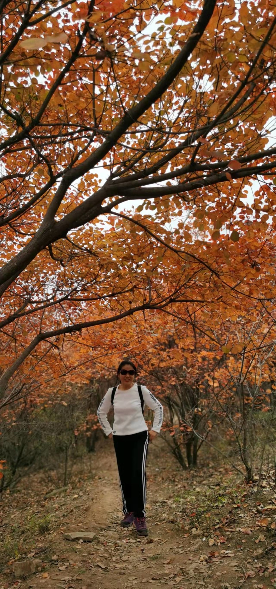 AxVX0TaI33SRyZS4AFueNrNXgaxWhyGPqanK1Y8MpWcacZZDPkt20Fq4wsfi1d4H