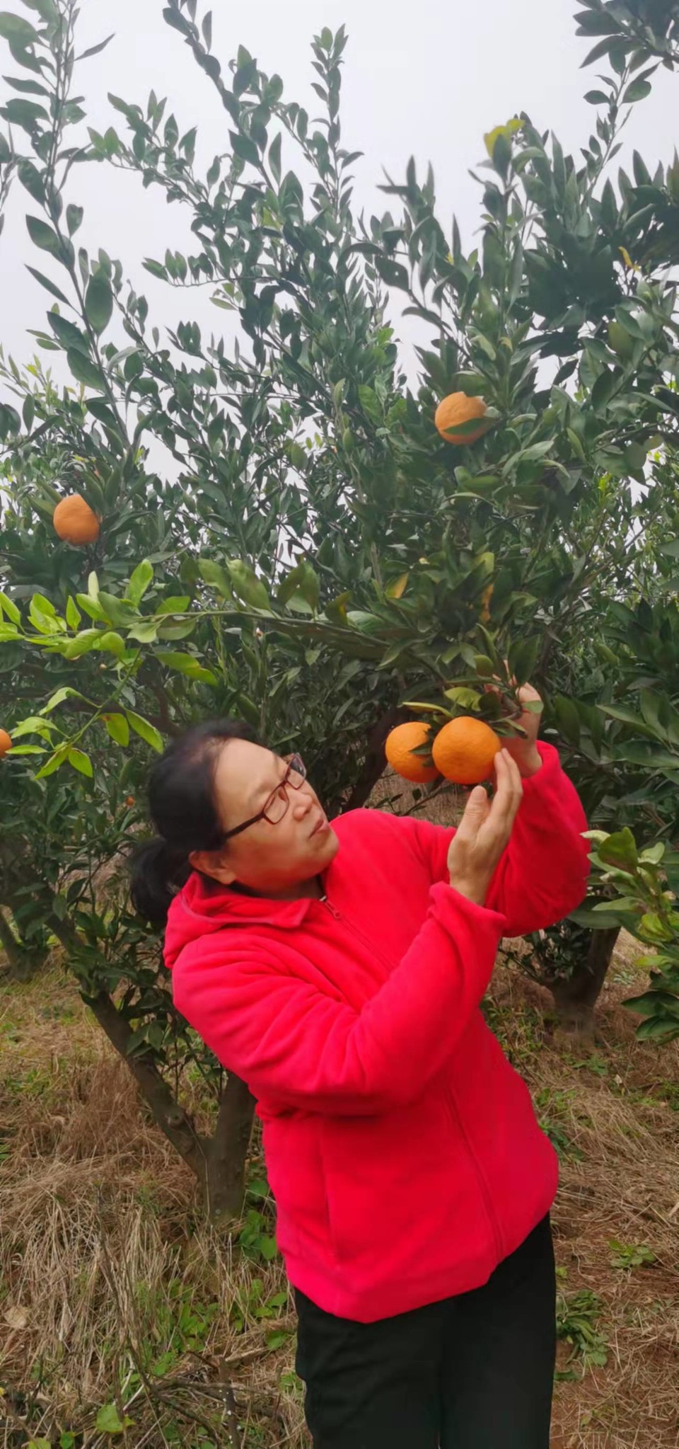 Gn8vTdP8HL9S7zQ0xQENKIEaE56CytsLa8mTmJjVKPYm4ACXMIMmTT1zQdtLrAoZ