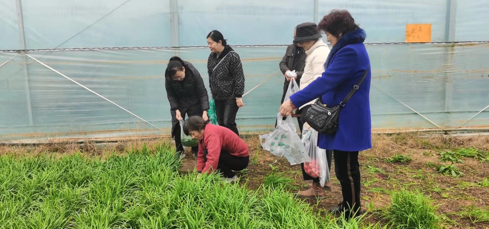 Gn8vTdP8HL9S7zQ0xQENKJYLNX6yHn70K1-v5HHPiWyjo6gND5XRVahx1lahbxCU