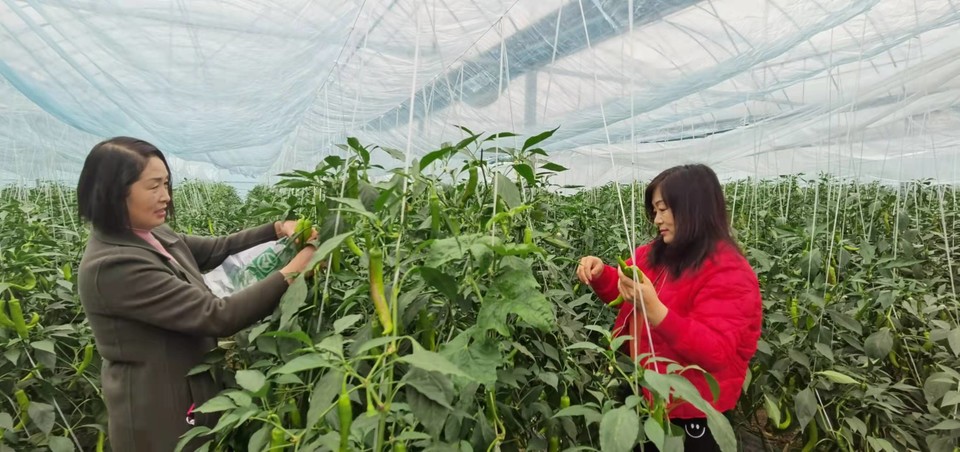 Gn8vTdP8HL9S7zQ0xQENKL-ZZJQSn1a5qxM8Yo5rMLXs-61WfxbNXN6hazMY_KaQ