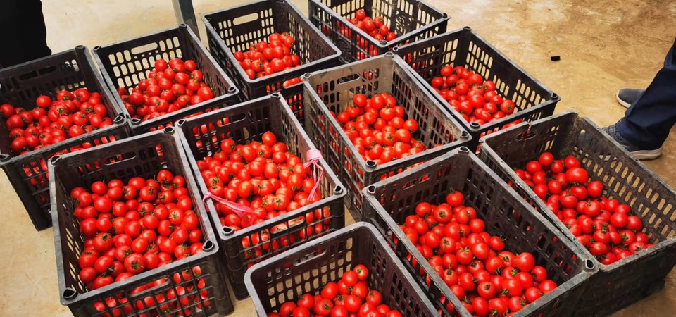 Gn8vTdP8HL9S7zQ0xQENKI6AoD8O4wTIwmtBd9P1Bvrt1jrMYdfrmD3k_7K-lTdG