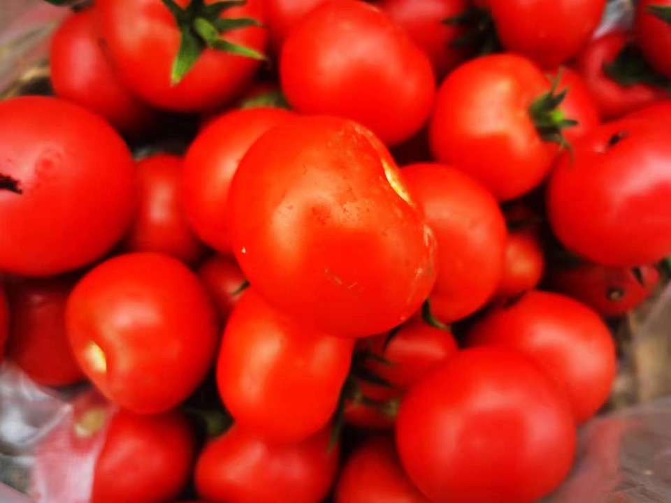 Gn8vTdP8HL9S7zQ0xQENKIHnsUTDOj4QMOnBZX3Sy45j4ioOgdmWJHi81kcvQ-fH