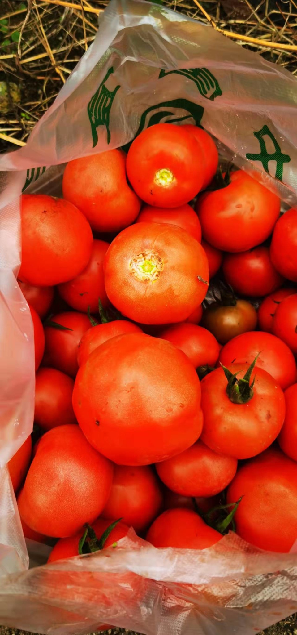 aSMYRroDjgGJq7I7iBRMLREXf19bQ3srfz0AHKCMyoAUqjY2jOrp3CyXNUAa8tE3