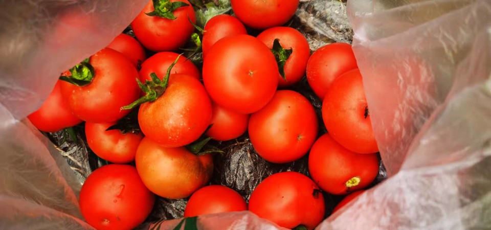 aSMYRroDjgGJq7I7iBRMLXivwz103suusEkSbwPupJwAKQZRZJGxedq0WF5Q4fz1