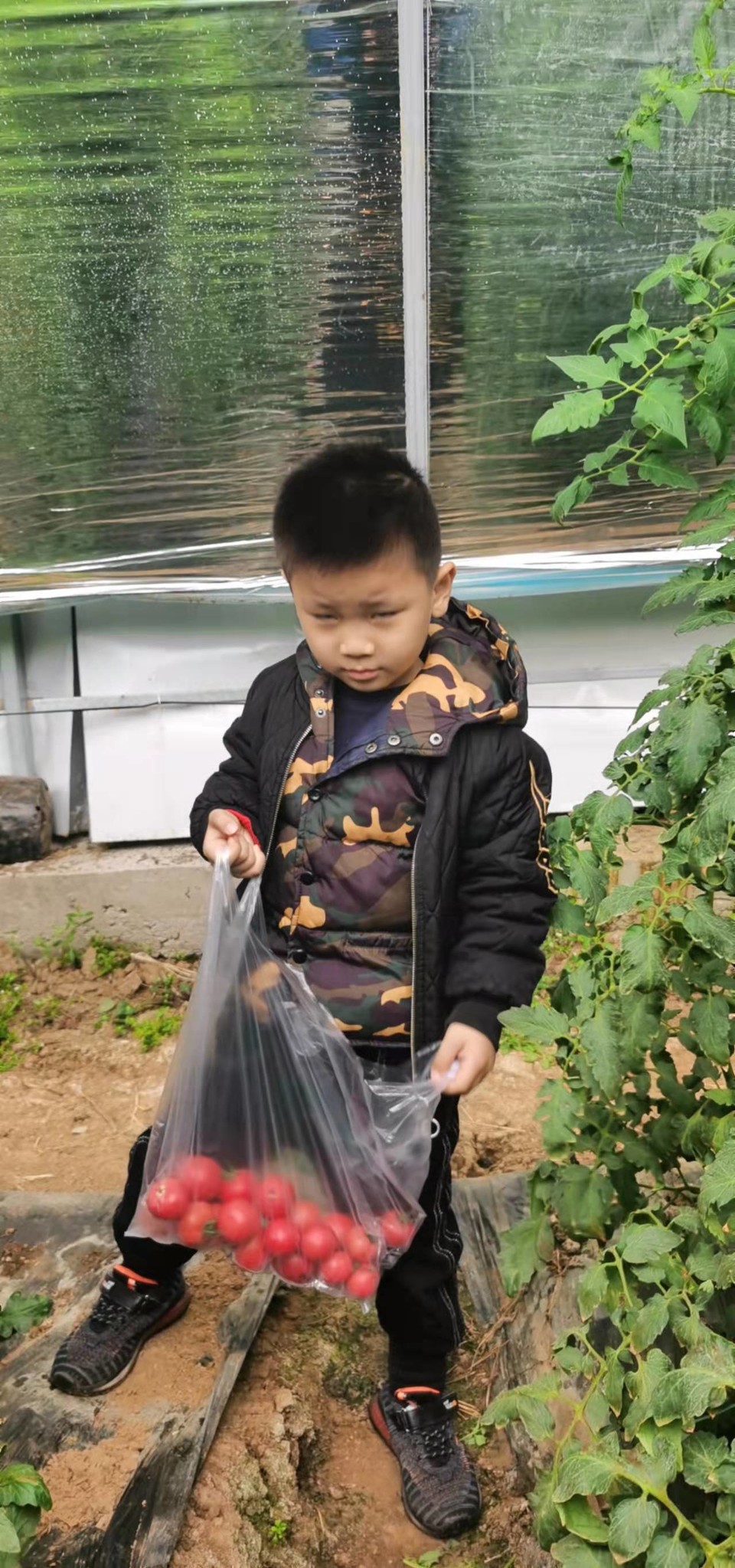 aSMYRroDjgGJq7I7iBRMLWWneYHh69j1--nFXpI90buoyNak23be5gvpjzIIAsDm