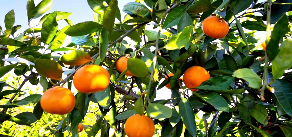 CsW_woQUu39SYd4mRa8sJDKj9MidNHomysUcSiwrsNTBQqBKGJC8YL3UkToYptme